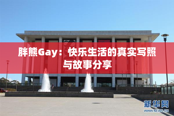 胖熊Gay：快乐生活的真实写照与故事分享