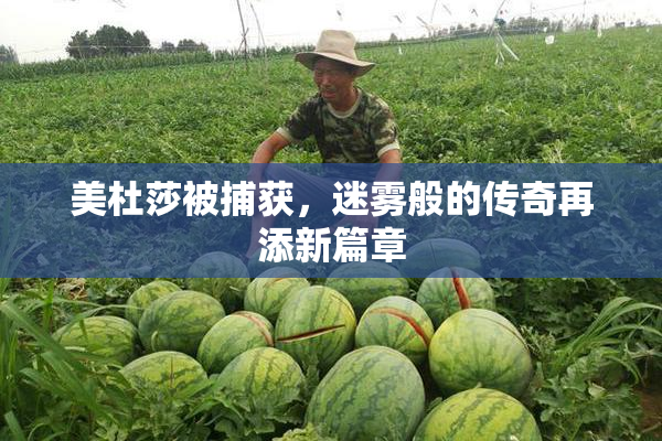 美杜莎被捕获，迷雾般的传奇再添新篇章