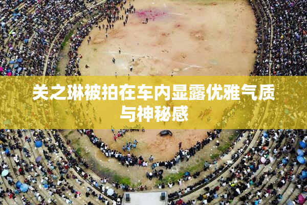 关之琳被拍在车内显露优雅气质与神秘感