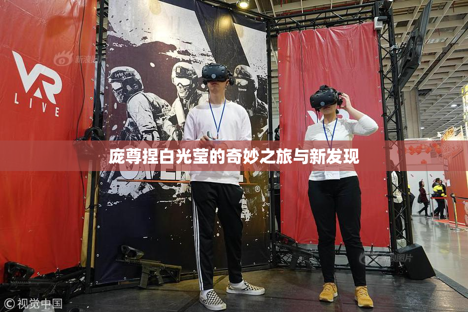 庞尊捏白光莹的奇妙之旅与新发现