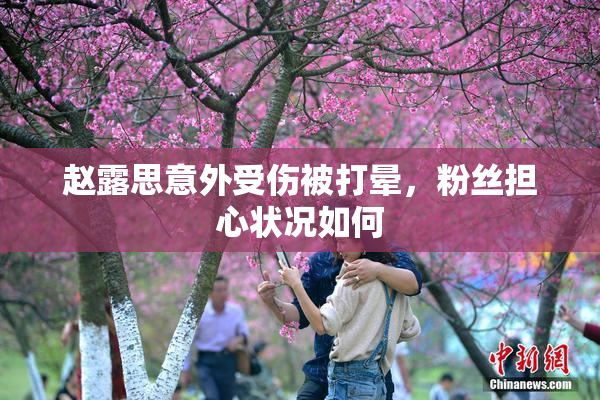 赵露思意外受伤被打晕，粉丝担心状况如何