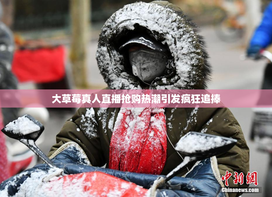 大草莓真人直播抢购热潮引发疯狂追捧