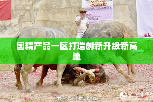 国精产品一区打造创新升级新高地