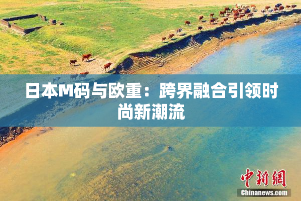 日本M码与欧重：跨界融合引领时尚新潮流