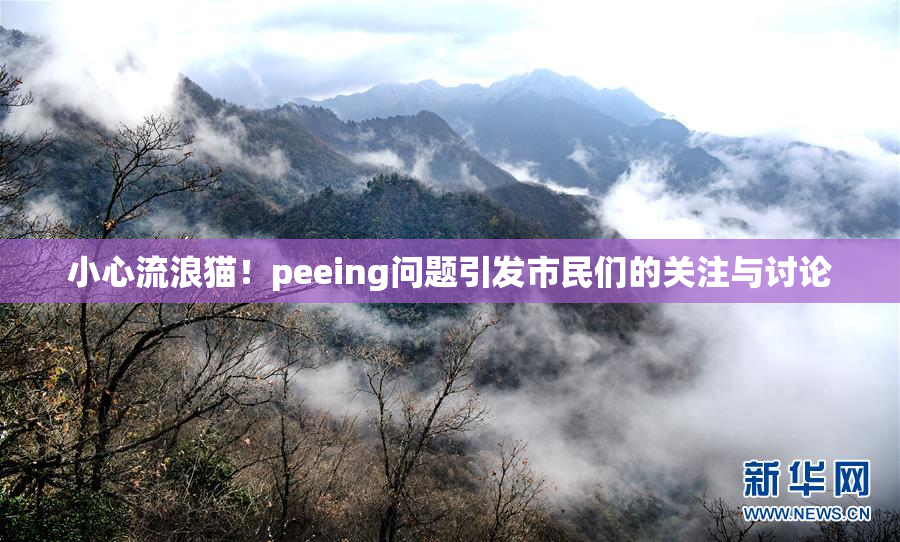 小心流浪猫！peeing问题引发市民们的关注与讨论