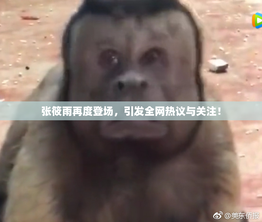 张筱雨再度登场，引发全网热议与关注！