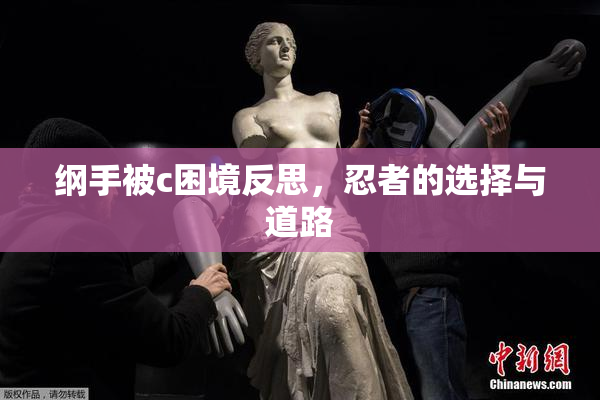 纲手被c困境反思，忍者的选择与道路