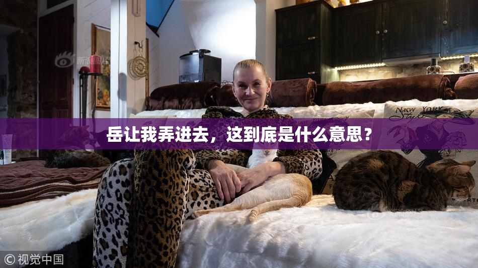 岳让我弄进去，这到底是什么意思？