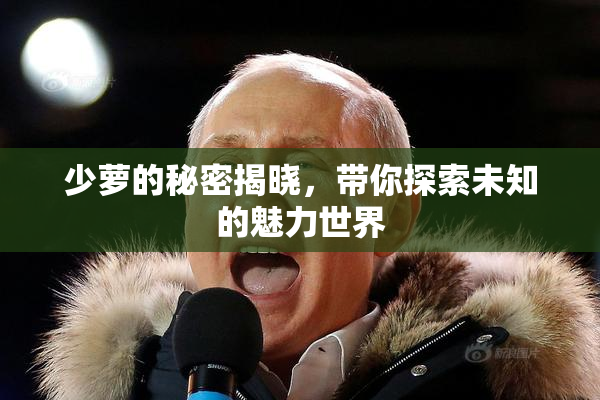 少萝的秘密揭晓，带你探索未知的魅力世界