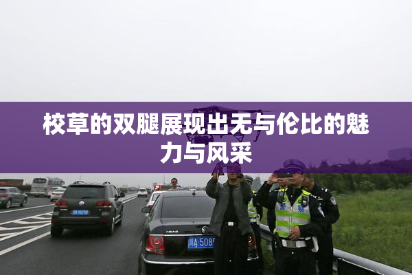 校草的双腿展现出无与伦比的魅力与风采