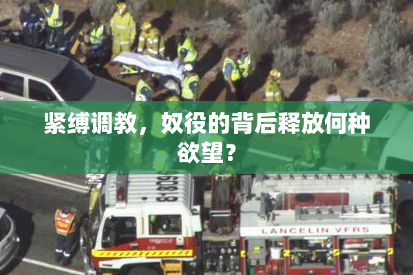 紧缚调教，奴役的背后释放何种欲望？