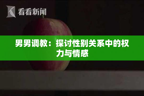 男男调教：探讨性别关系中的权力与情感