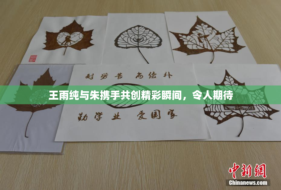 王雨纯与朱携手共创精彩瞬间，令人期待