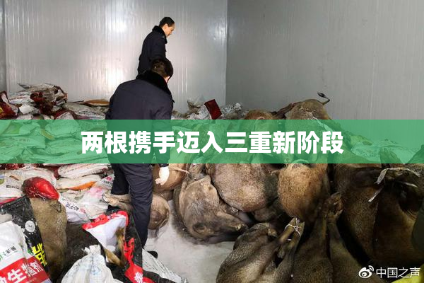两根携手迈入三重新阶段
