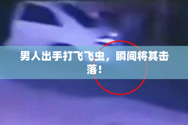 男人出手打飞飞虫，瞬间将其击落！