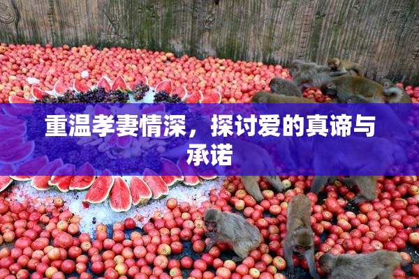 重温孝妻情深，探讨爱的真谛与承诺