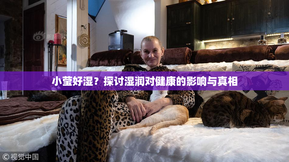 小莹好湿？探讨湿润对健康的影响与真相