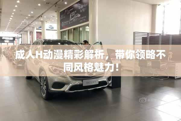 成人H动漫精彩解析，带你领略不同风格魅力！