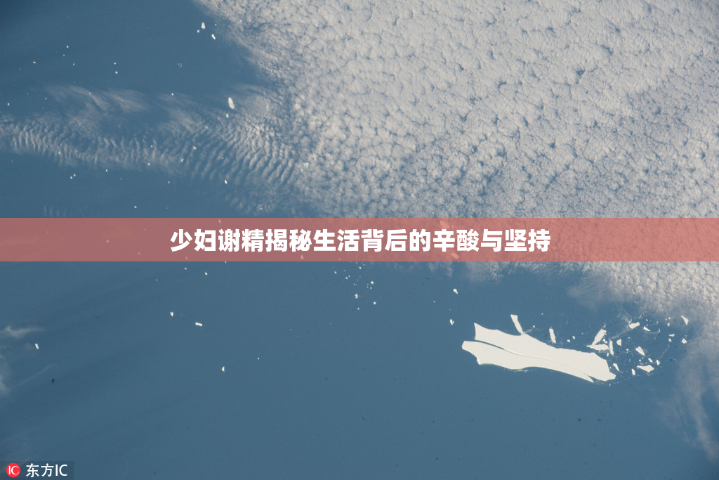 少妇谢精揭秘生活背后的辛酸与坚持