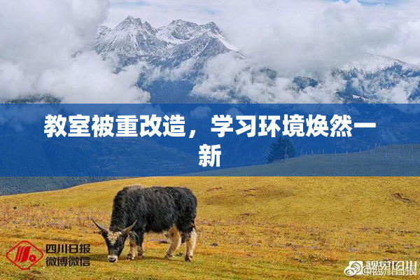 教室被重改造，学习环境焕然一新