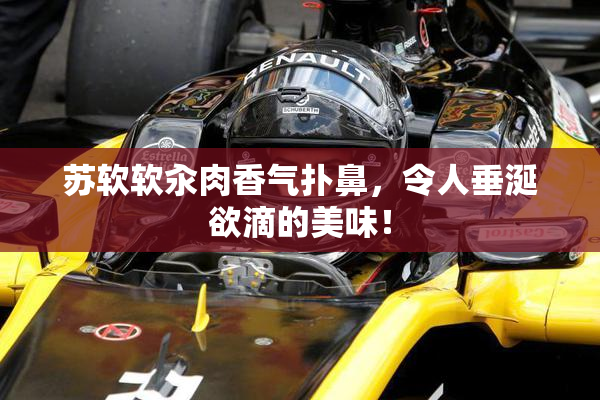 苏软软汆肉香气扑鼻，令人垂涎欲滴的美味！