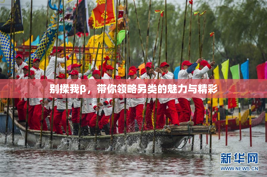 别揉我β，带你领略另类的魅力与精彩