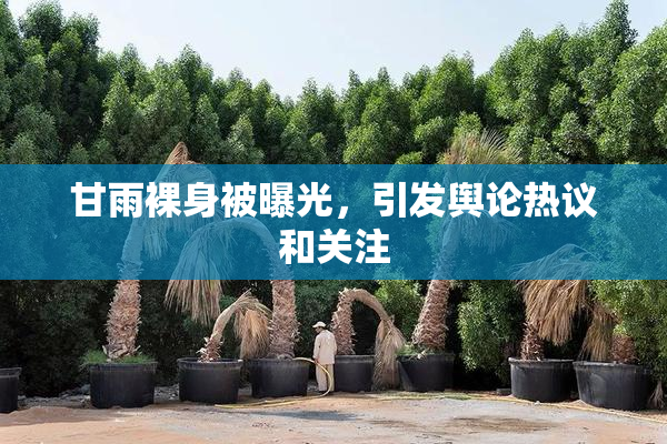 甘雨裸身被曝光，引发舆论热议和关注