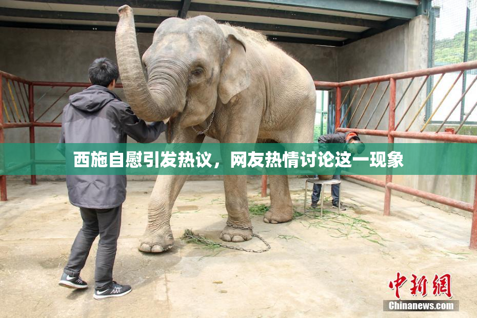 西施自慰引发热议，网友热情讨论这一现象