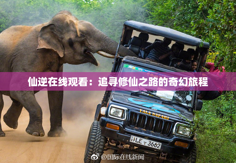 仙逆在线观看：追寻修仙之路的奇幻旅程