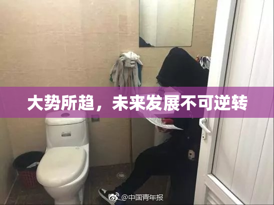大势所趋，未来发展不可逆转