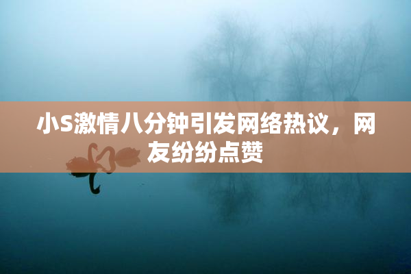 小S激情八分钟引发网络热议，网友纷纷点赞