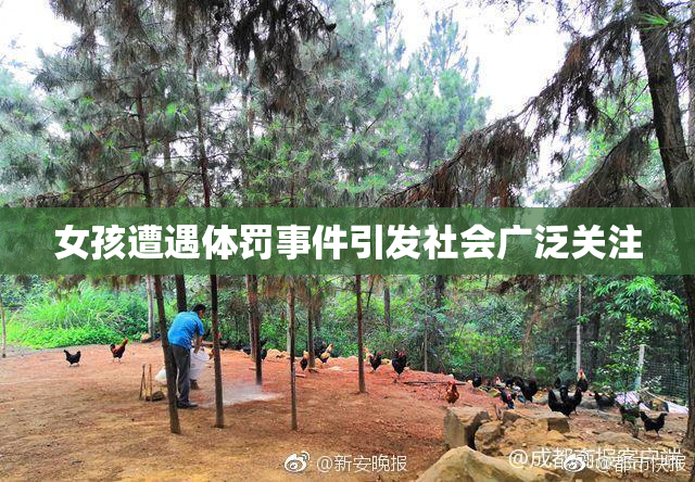 女孩遭遇体罚事件引发社会广泛关注