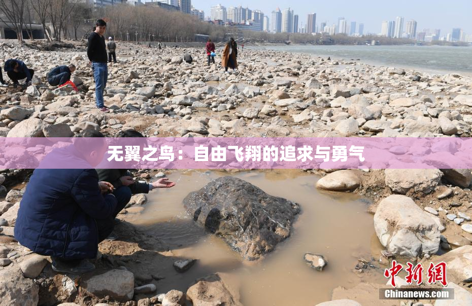 无翼之鸟：自由飞翔的追求与勇气