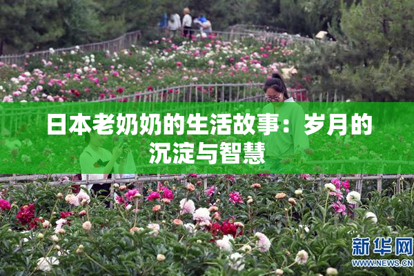 日本老奶奶的生活故事：岁月的沉淀与智慧