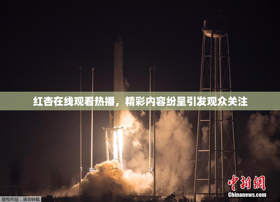 红杏在线观看热播，精彩内容纷呈引发观众关注