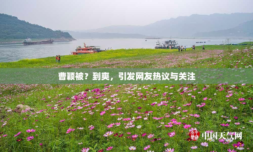 曹颖被？到爽，引发网友热议与关注