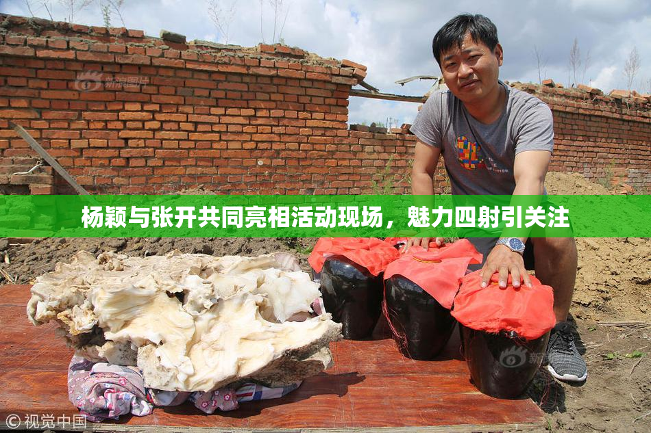 杨颖与张开共同亮相活动现场，魅力四射引关注