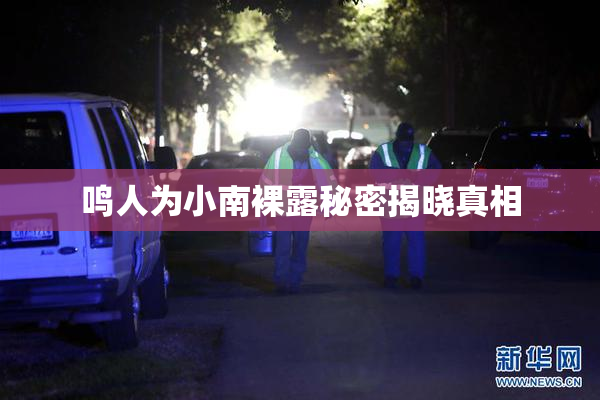 鸣人为小南裸露秘密揭晓真相