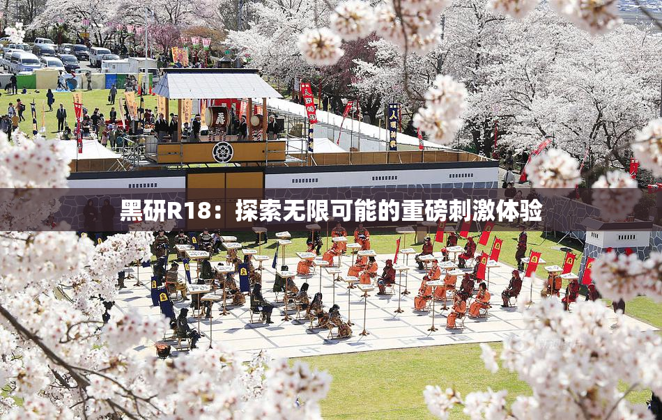 黑研R18：探索无限可能的重磅刺激体验