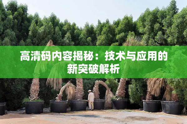 高清码内容揭秘：技术与应用的新突破解析