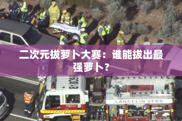 二次元拔萝卜大赛：谁能拔出最强萝卜？