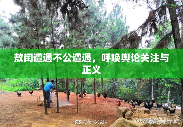 敖闰遭遇不公遭遇，呼唤舆论关注与正义