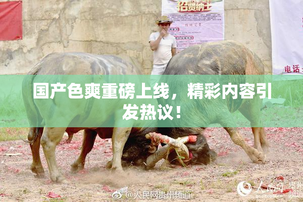 国产色爽重磅上线，精彩内容引发热议！