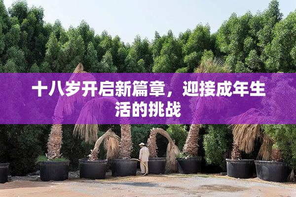 十八岁开启新篇章，迎接成年生活的挑战