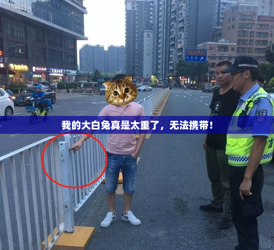 我的大白兔真是太重了，无法携带！