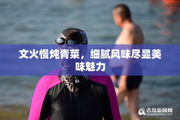 文火慢炖青菜，细腻风味尽显美味魅力