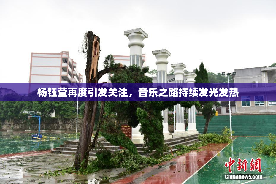 杨钰莹再度引发关注，音乐之路持续发光发热