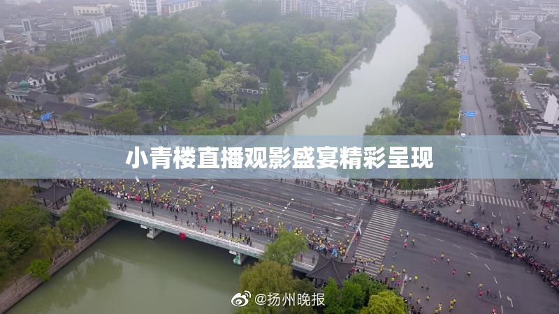 小青楼直播观影盛宴精彩呈现