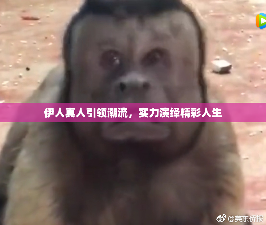 伊人真人引领潮流，实力演绎精彩人生
