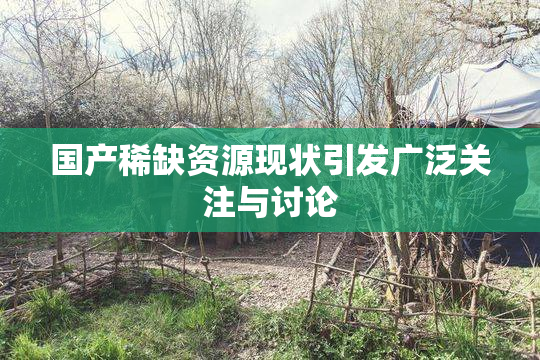 国产稀缺资源现状引发广泛关注与讨论